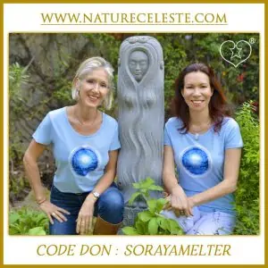tee shirt - natureceleste - la source